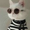 catsluxecloset